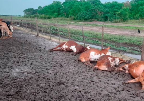 Tragedia en Formosa a causa de un rayo
