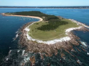 Inhibidores de Rayos SAF en Isla Gorriti
