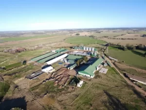 Talar Ruta 12 - Punta Ballena