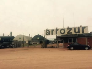 Arrozur