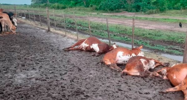 Tragedia en Formosa a causa de un rayo