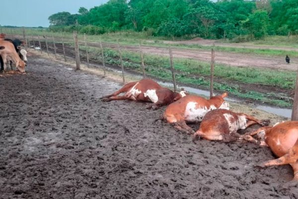 Tragedia en Formosa a causa de un rayo